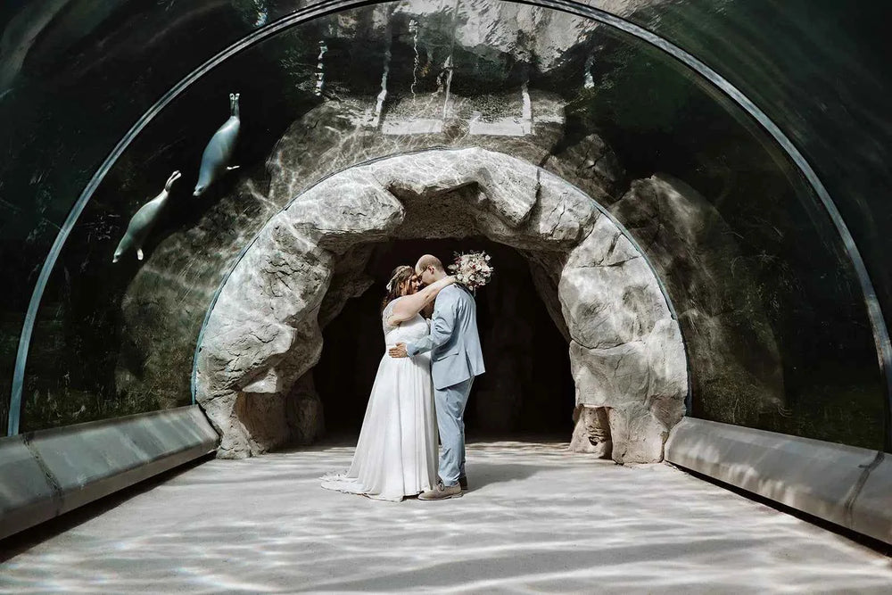 Ein frisch verheiratetes Paar umarmt und küsst sich in einem Tunnel eines Aquariums, während über ihm zwei Robben schwimmen und das Sonnenlicht durch das Wasser filtert und Muster auf dem Boden erzeugt.