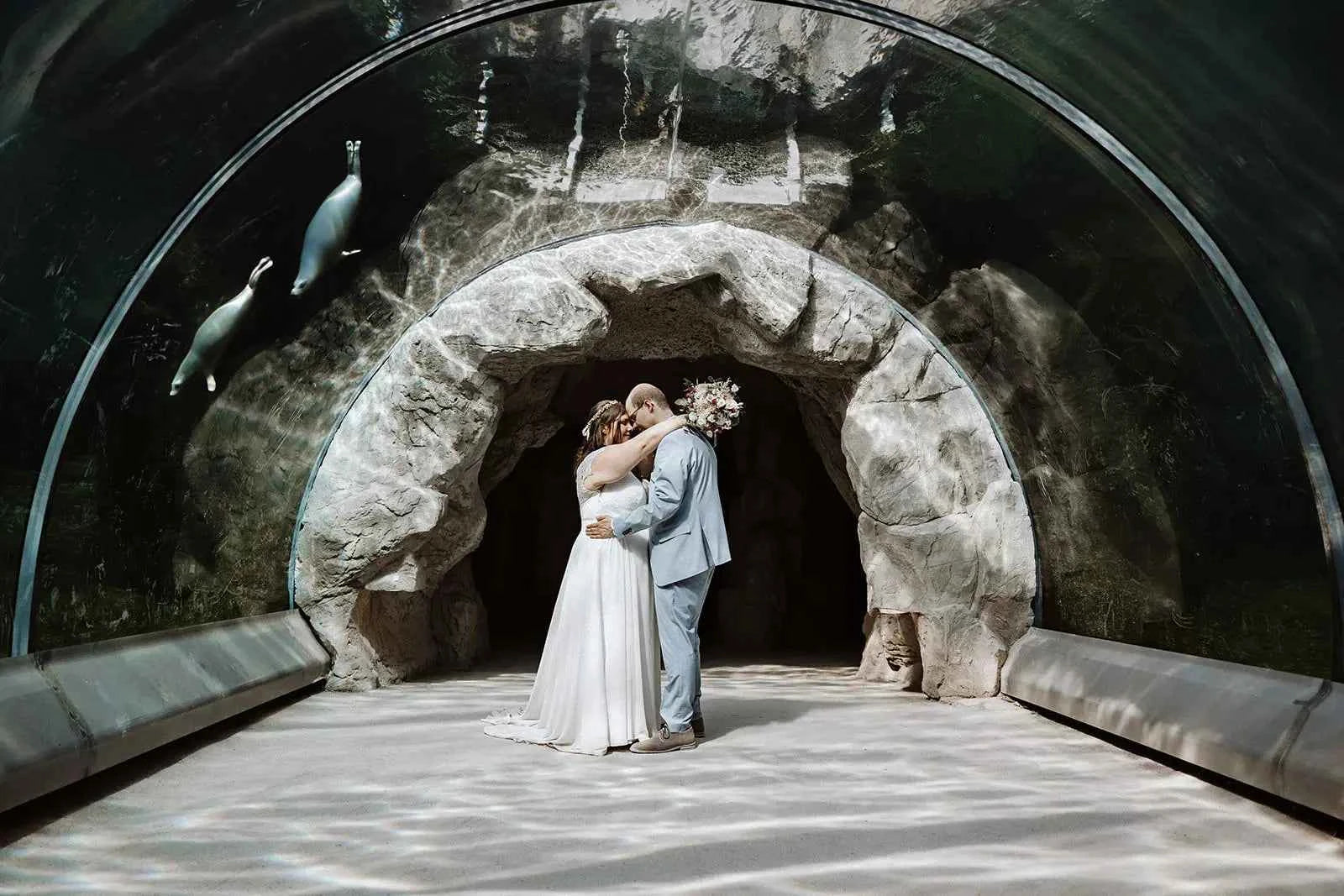 Ein frisch verheiratetes Paar umarmt und küsst sich in einem Tunnel eines Aquariums, während über ihm zwei Robben schwimmen und das Sonnenlicht durch das Wasser filtert und Muster auf dem Boden erzeugt.